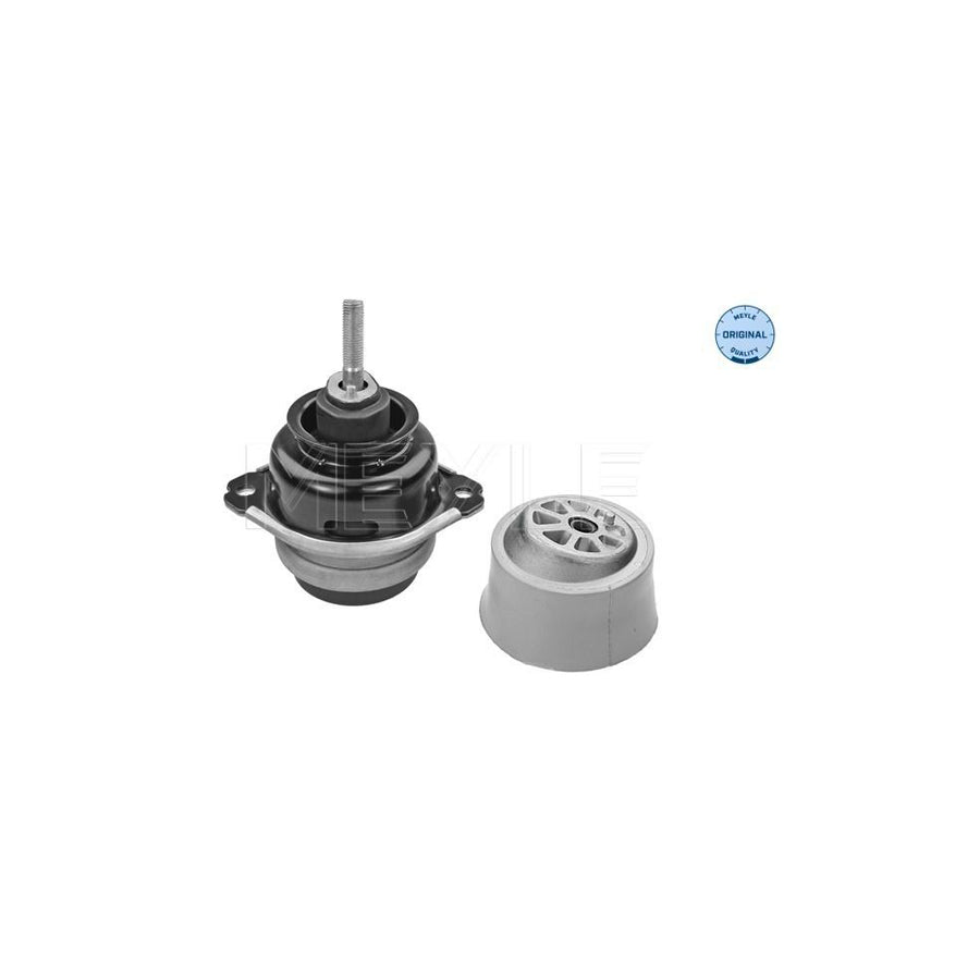 Meyle 100 199 0185 Engine Mount