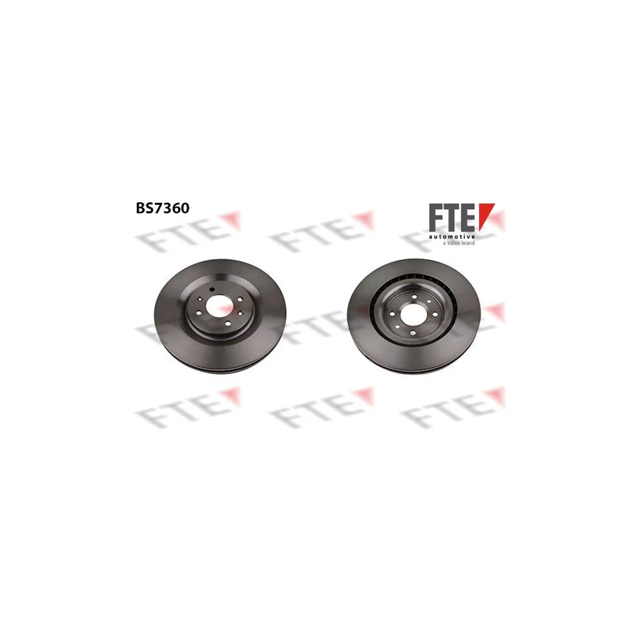 FTE 9071179 Brake Disc
