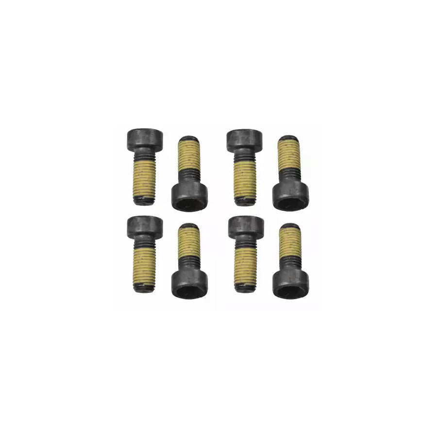 Sachs 1874 000 048 Screw Set, Flywheel