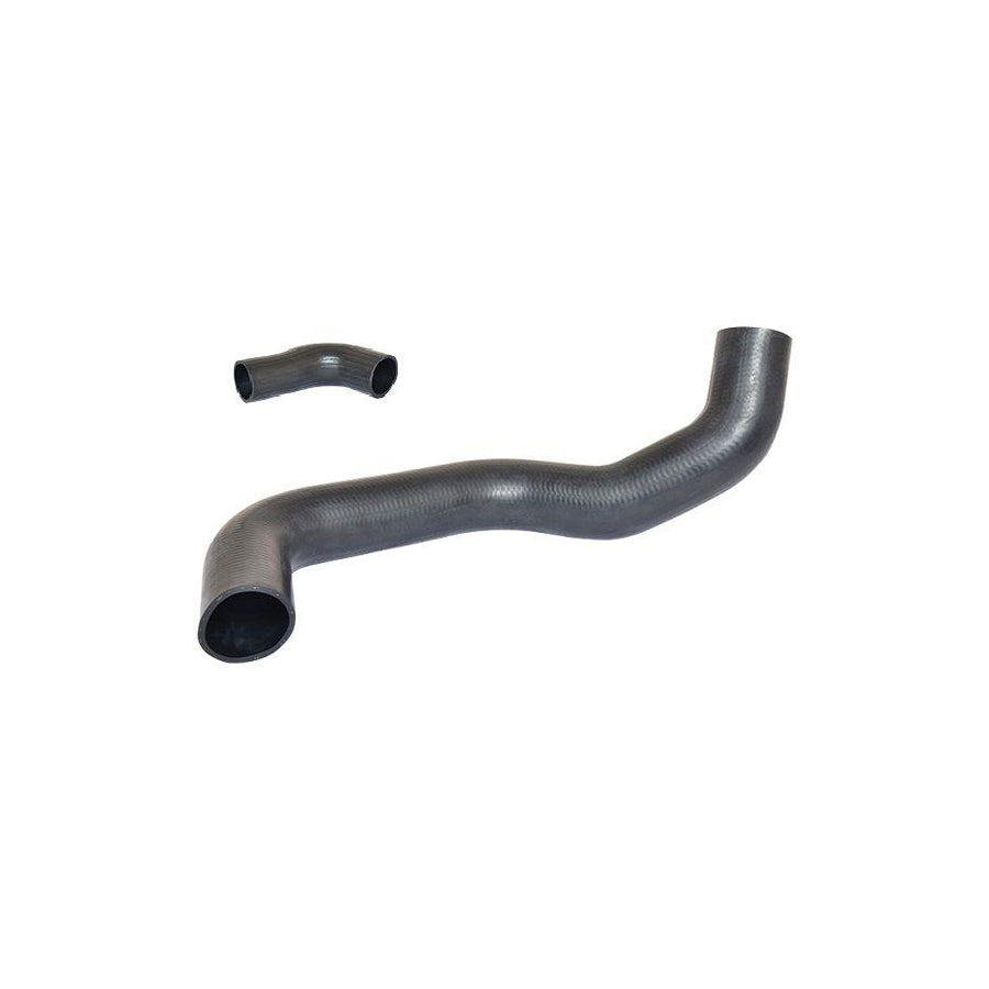 BUGIAD 81634 Charger Intake Hose Suitable for Mercedes-Benz Sprinter
