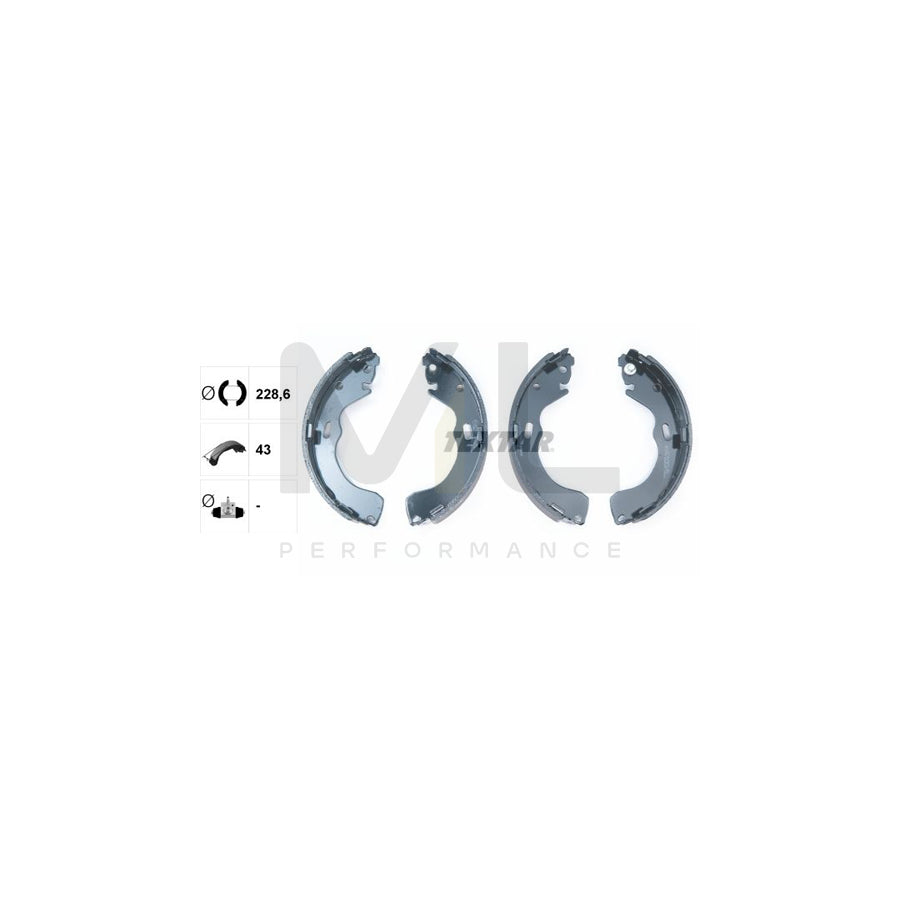 TEXTAR 91060600 Brake Shoe Set without handbrake lever | ML Performance Car Parts