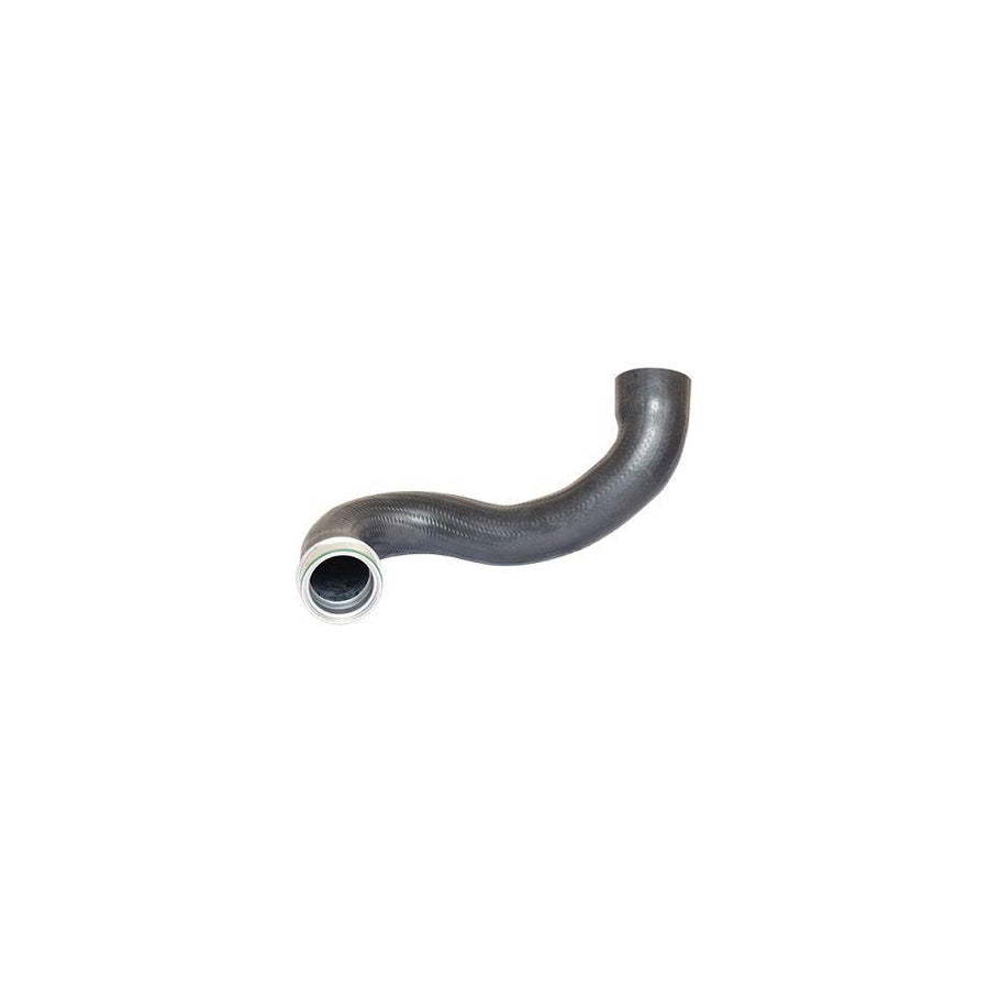BUGIAD 81632 Charger Intake Hose Suitable for Mercedes-Benz Sprinter