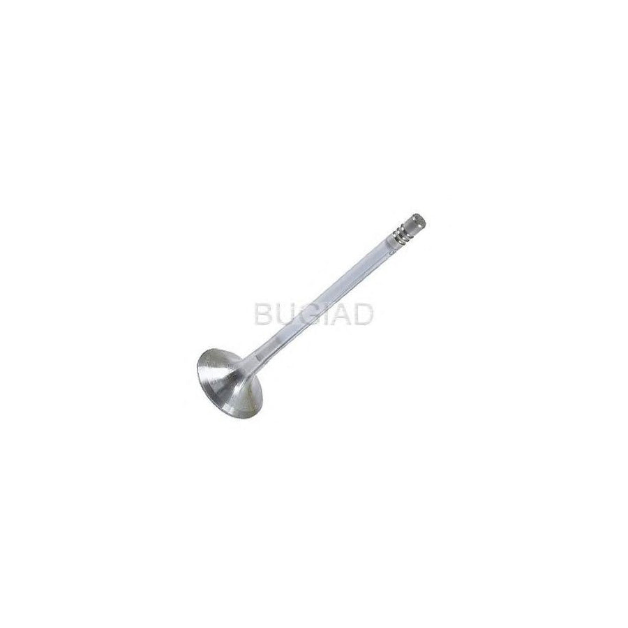 BUGIAD Bsp23313 Exhaust Valve