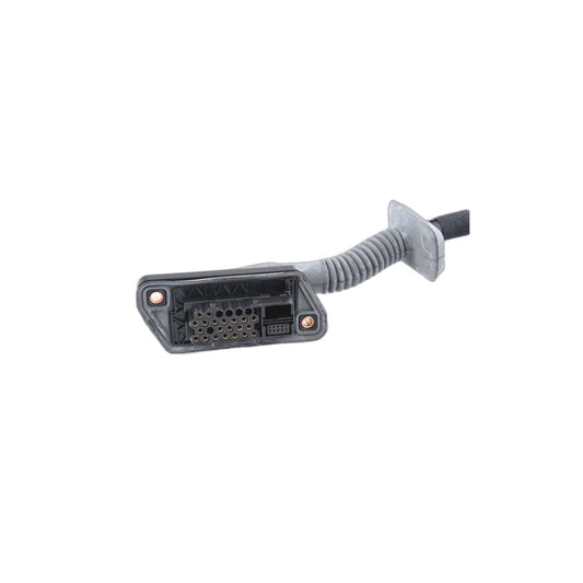 Genuine BMW 61128362513 E36 Wiring Drivers Side (Inc. 325is, 318i & 316i) | ML Performance UK Car Parts