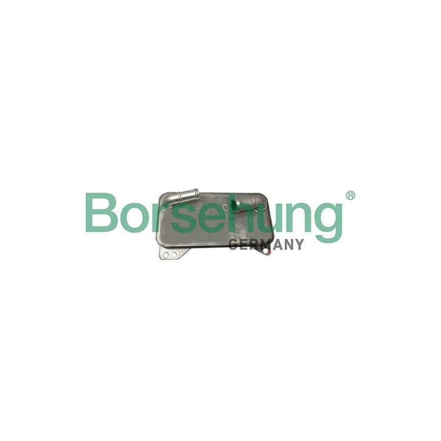 Borsehung B10882 Engine Oil Cooler for Seat Ateca (Kh7)