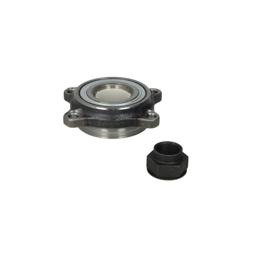 BTA H1D008BTA Wheel Bearing Kit