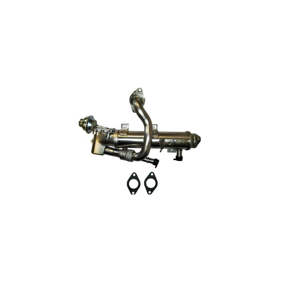 BUGIAD Bsp25212 Egr Cooler
