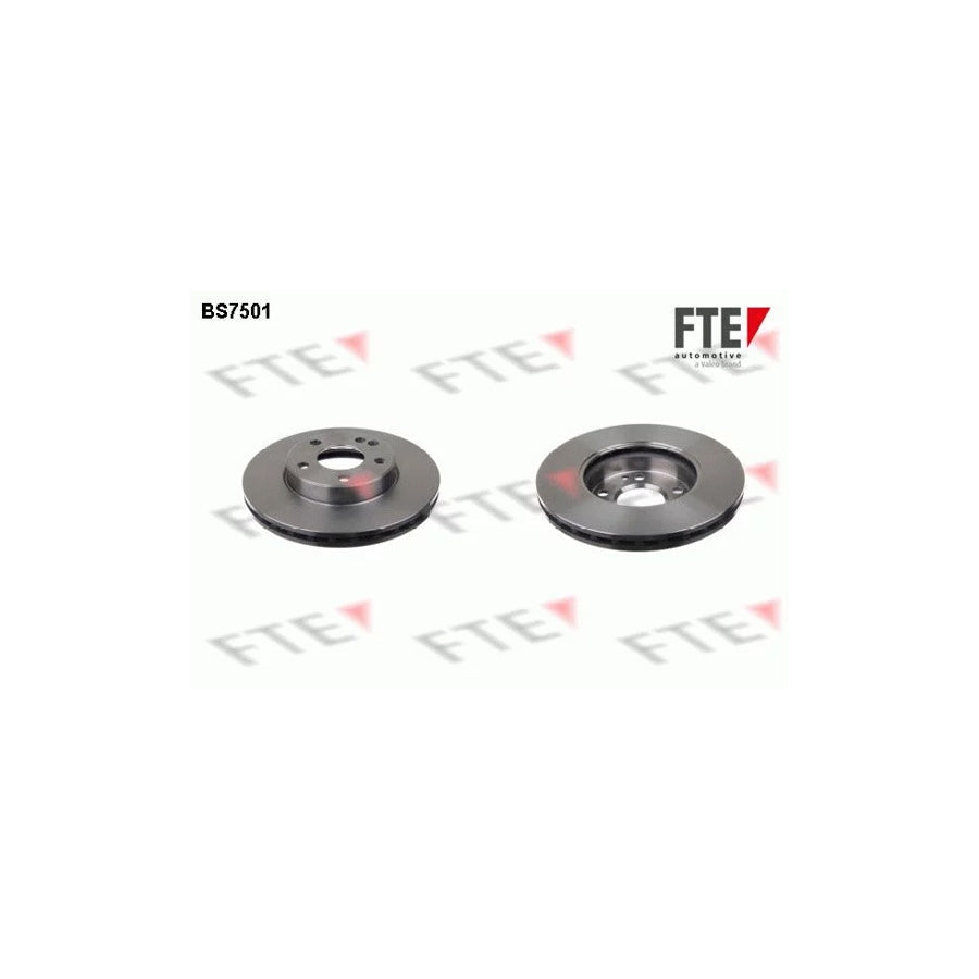 FTE Bs7501 Brake Disc