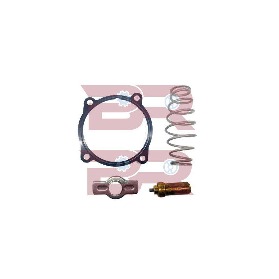 Botto Ricambi Brac1087 Engine Thermostat