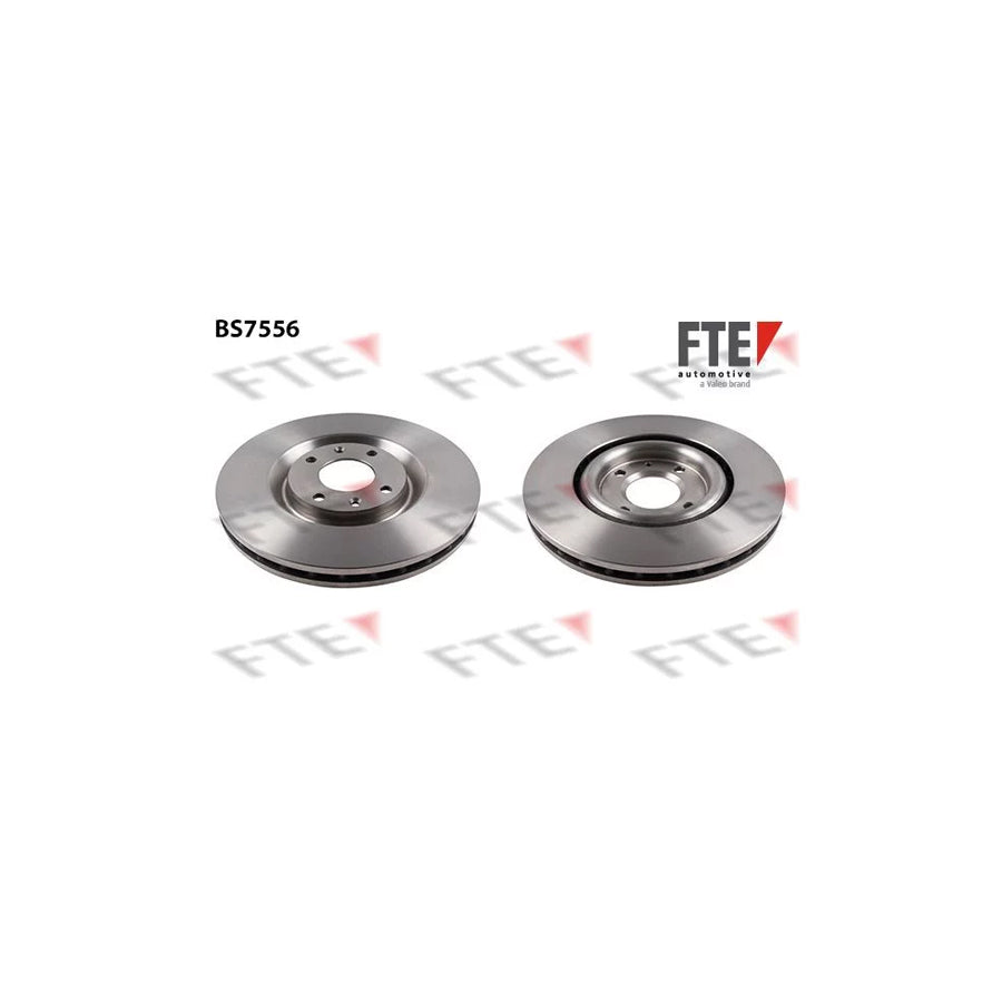 FTE 9071202 Brake Disc for Peugeot 406 Coupe