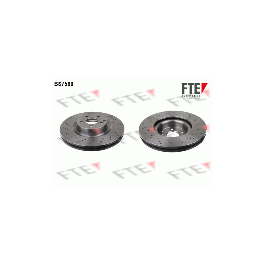 FTE Bs7500 Brake Disc