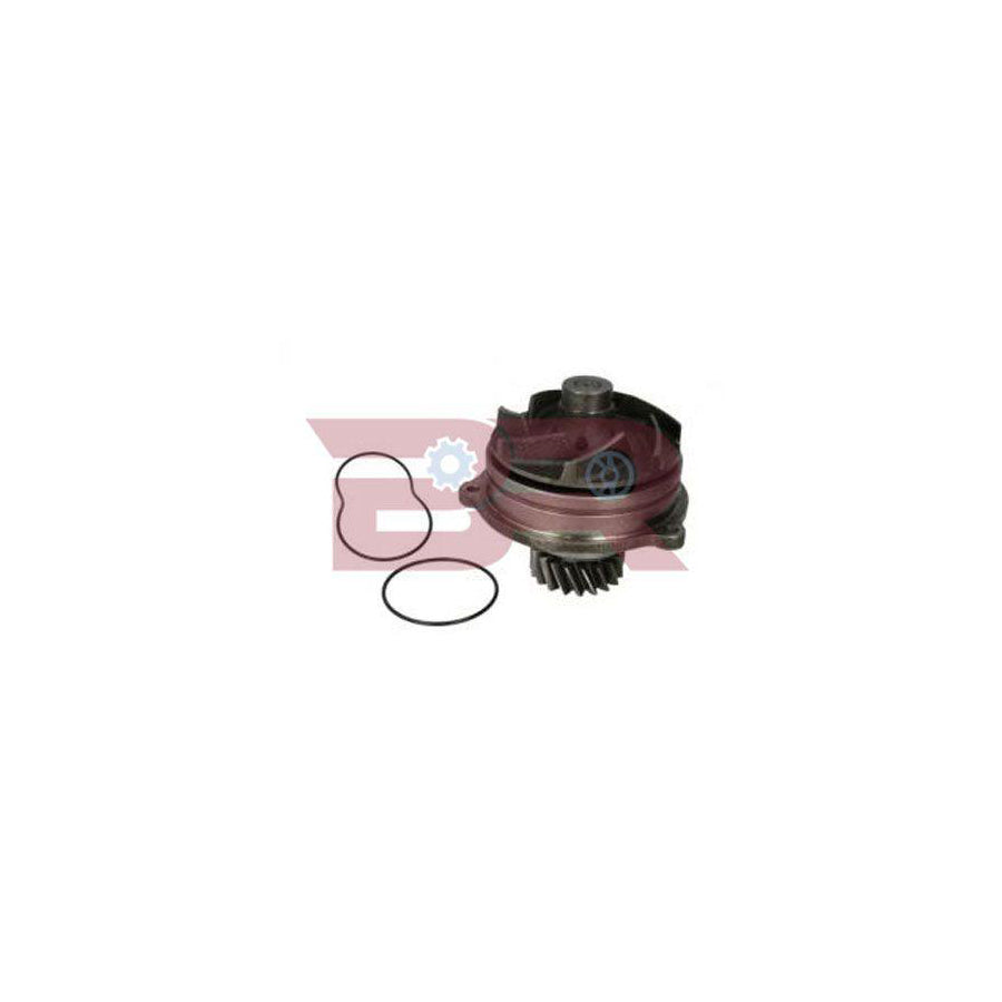 Botto Ricambi Brac0785 Water Pump