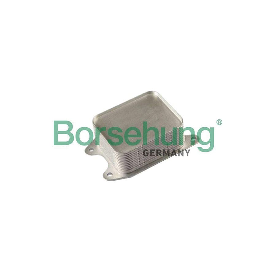 Borsehung B10878 Engine Oil Cooler