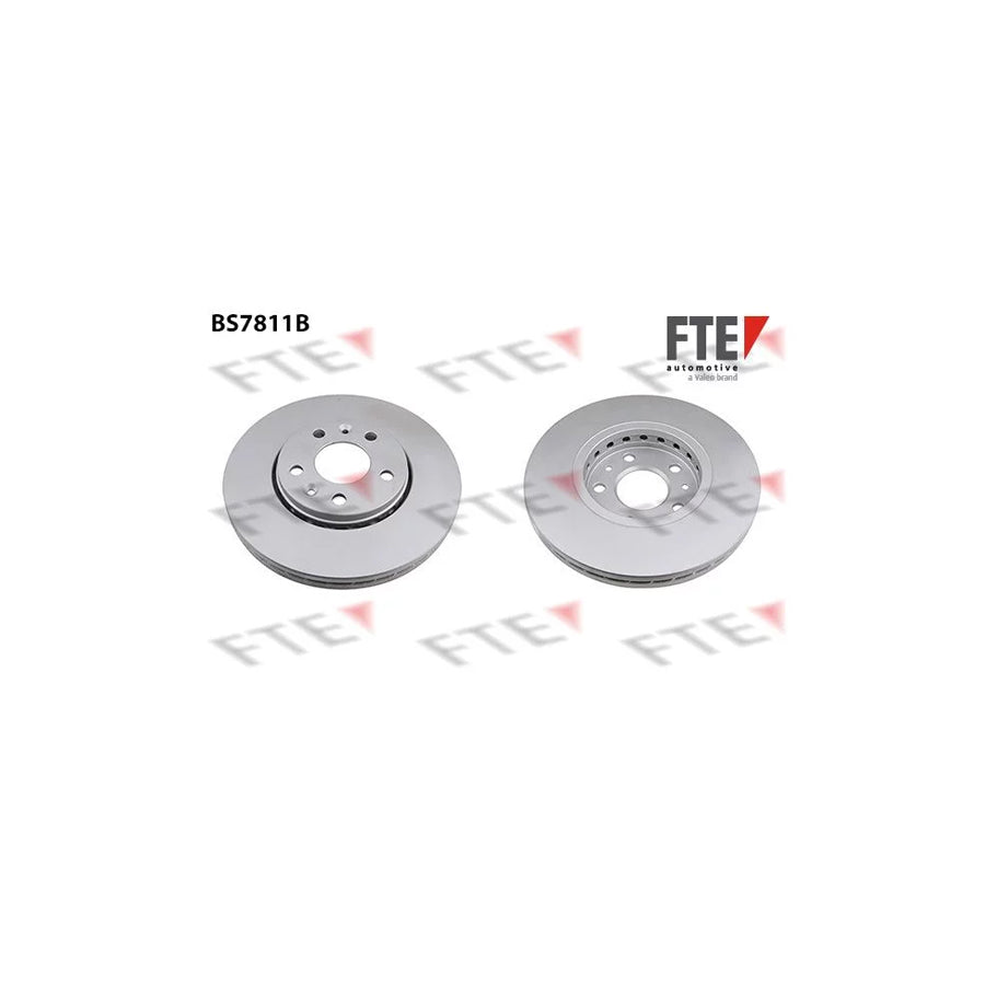 FTE 9081128 Brake Disc