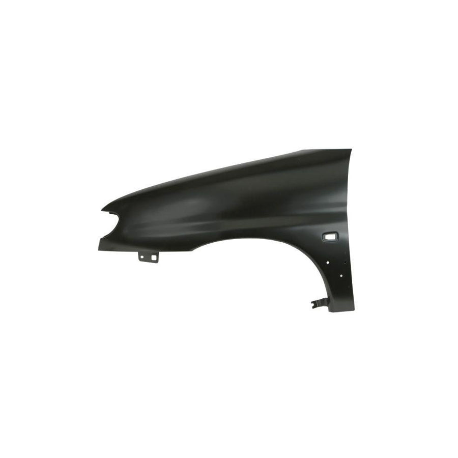 Blic 6504-04-0550313Q Wing Fender