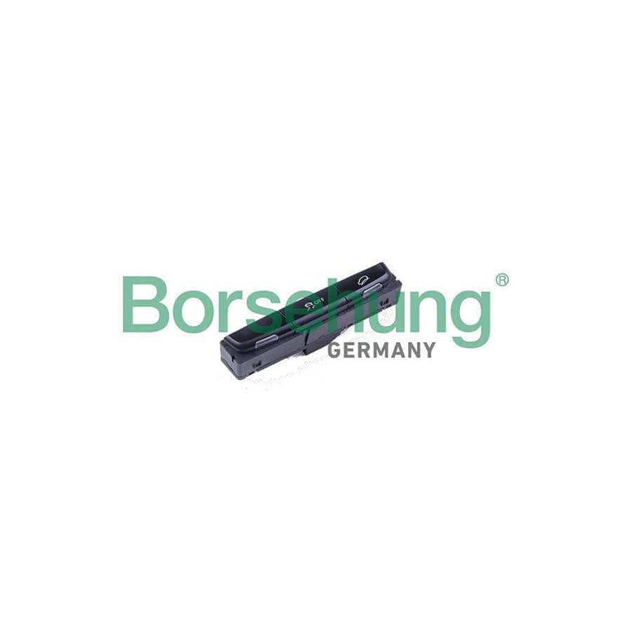 Borsehung B18589 Multi-Function Switch for Audi Q5 (8Rb)