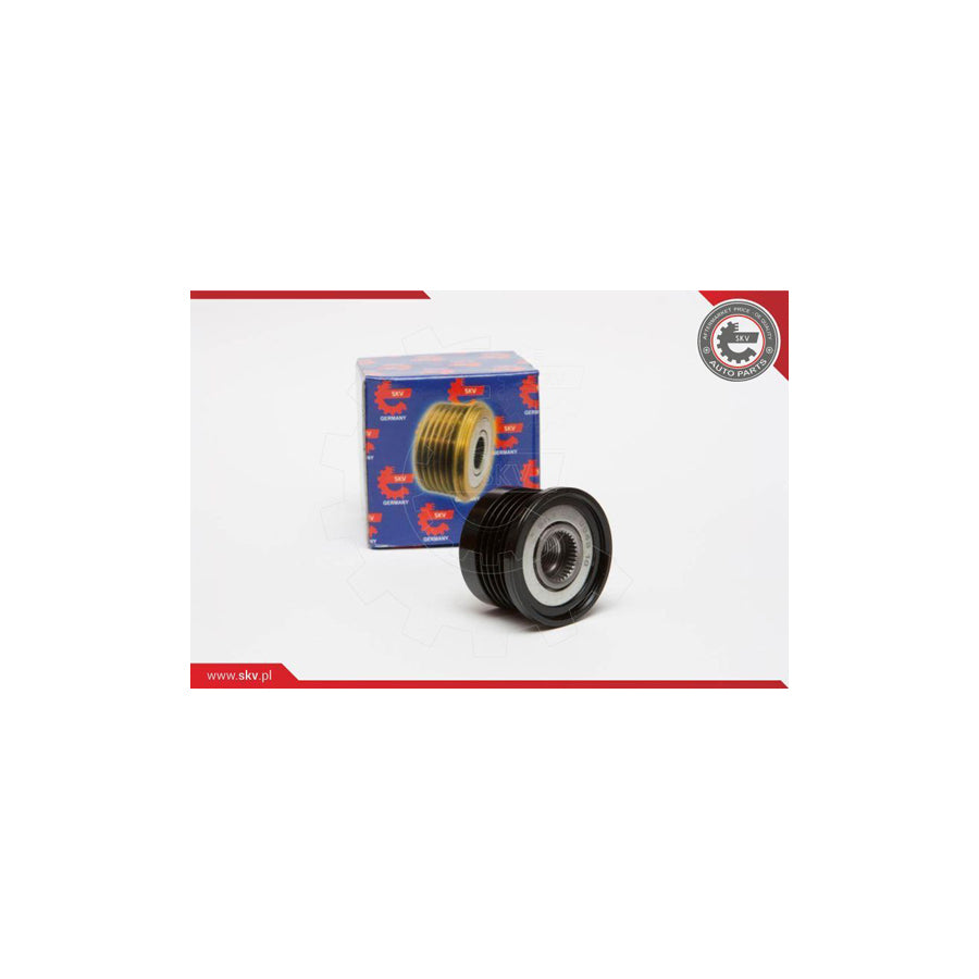 Esen Skv 11SKV024 Alternator Freewheel Clutch
