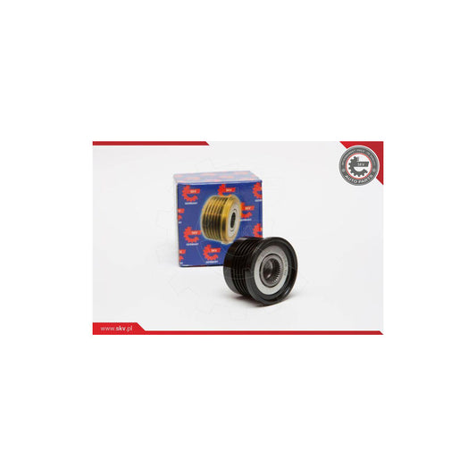 Esen Skv 11SKV024 Alternator Freewheel Clutch