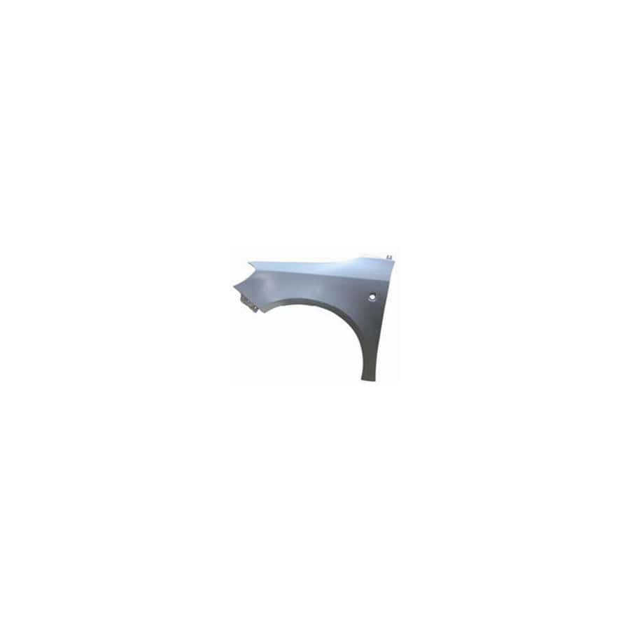 Abakus 04809211 Wing Fender for Skoda Fabia