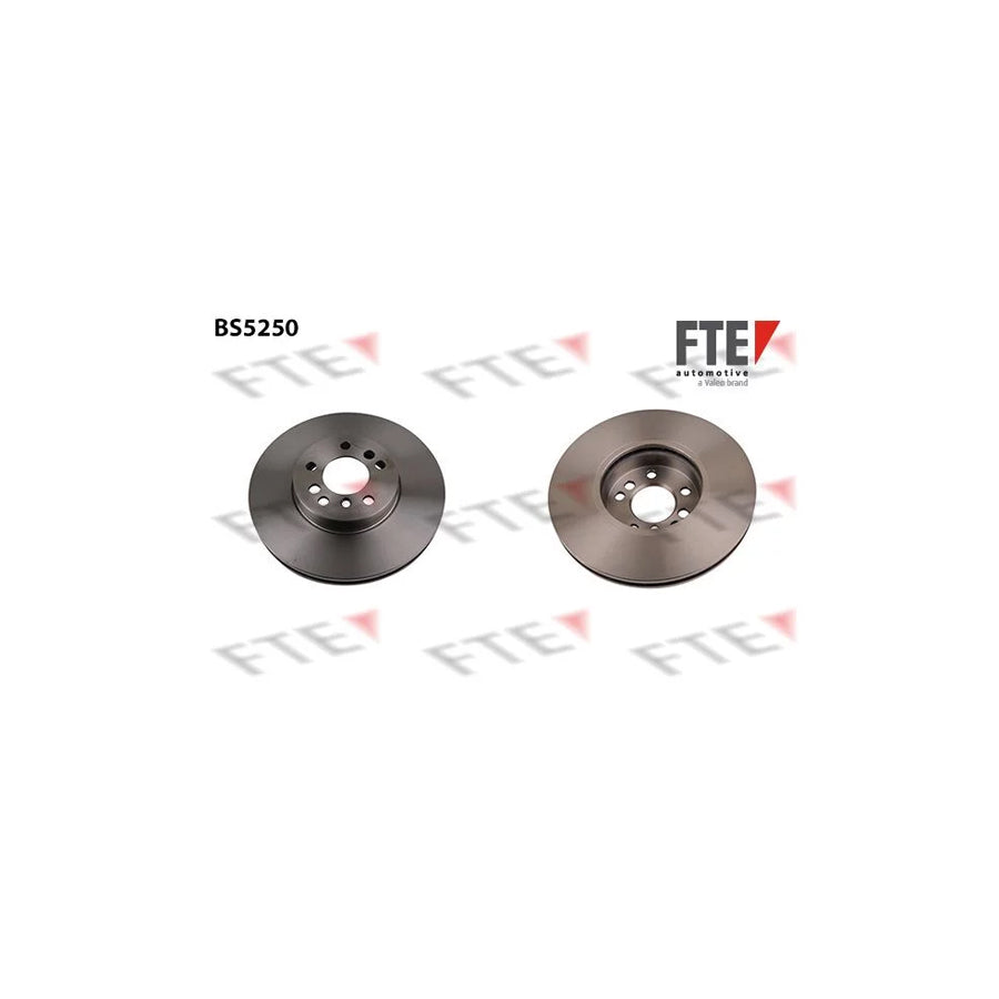 FTE Bs5250 Brake Disc