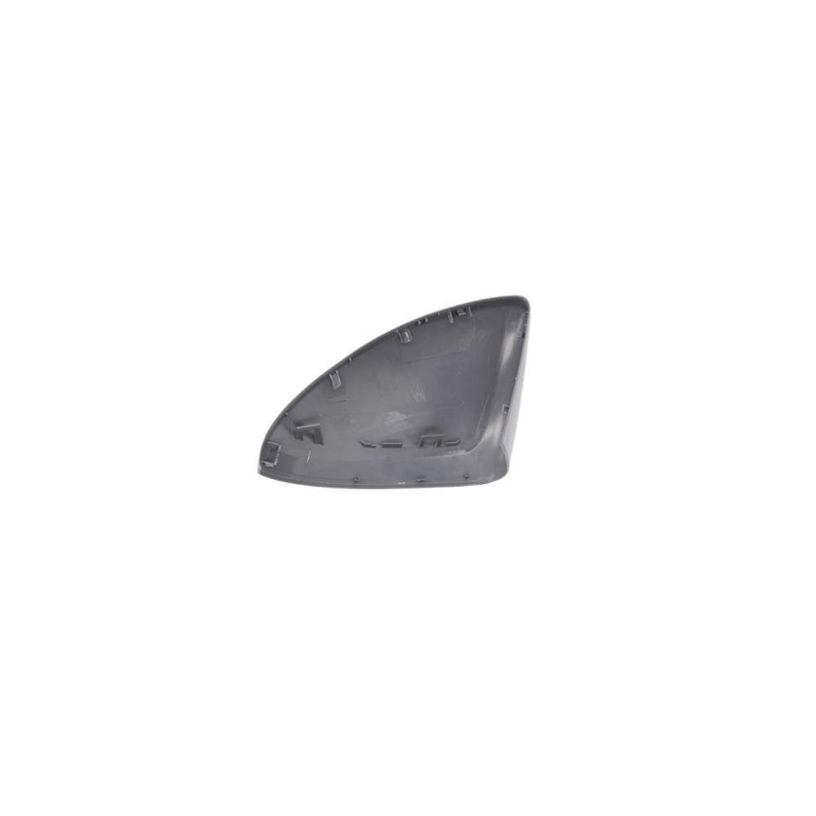 Blic 6502-08-9508202P Front Cowling For VW Polo Vi (Aw1, Bz1)