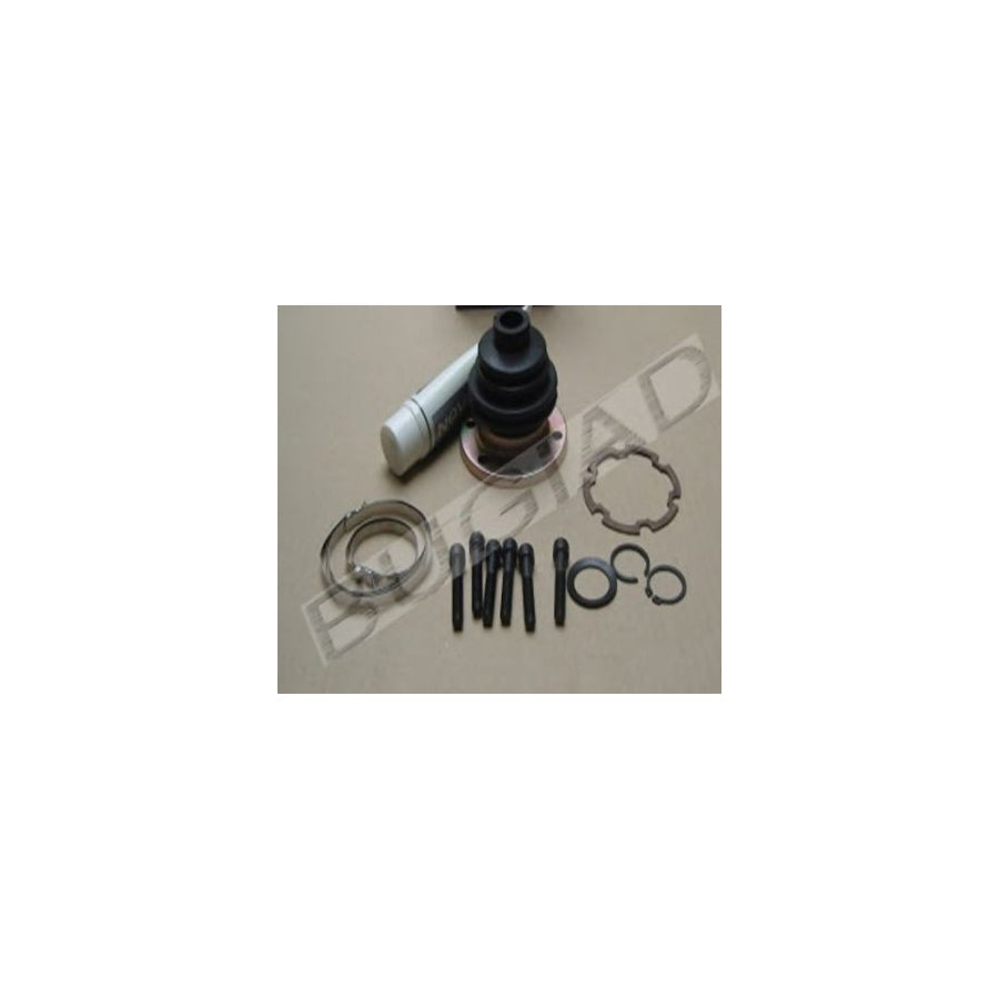 BUGIAD Bsp20163 Bellow Set, Drive Shaft