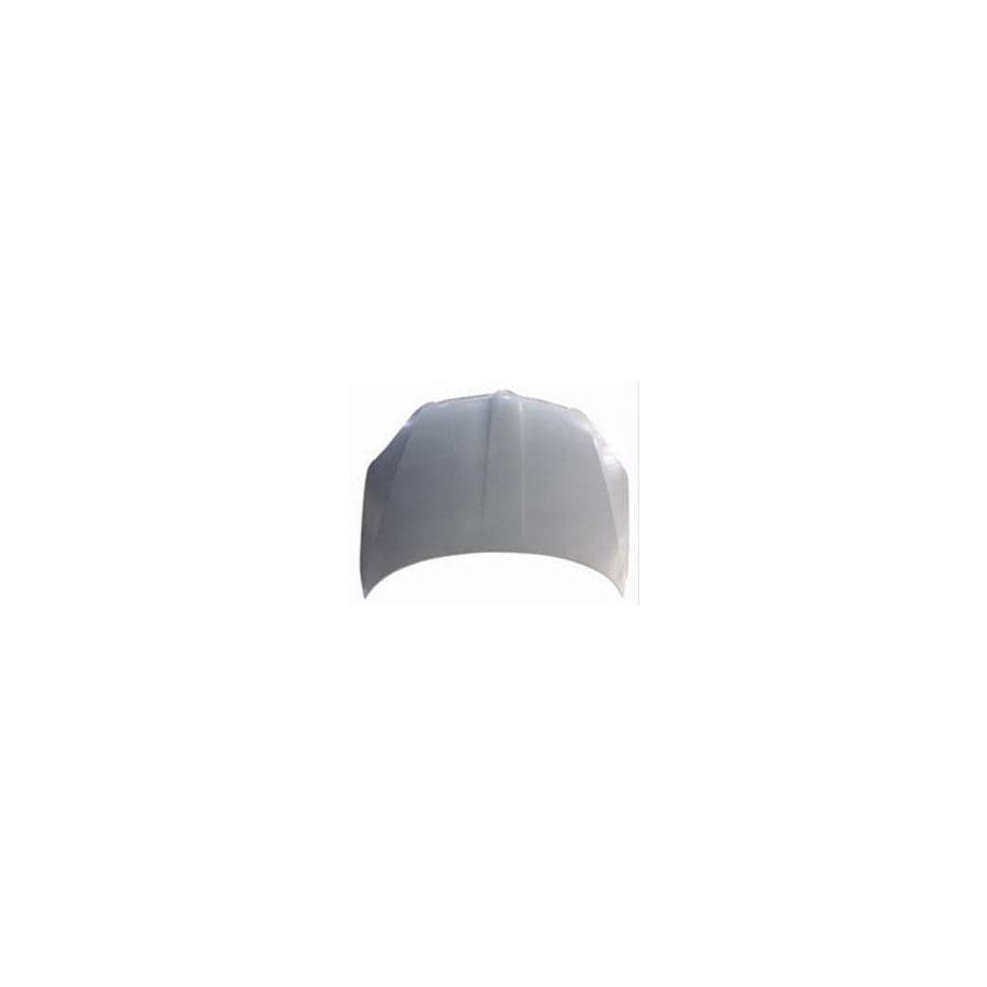 Abakus 04809100 Bonnet for Skoda Fabia