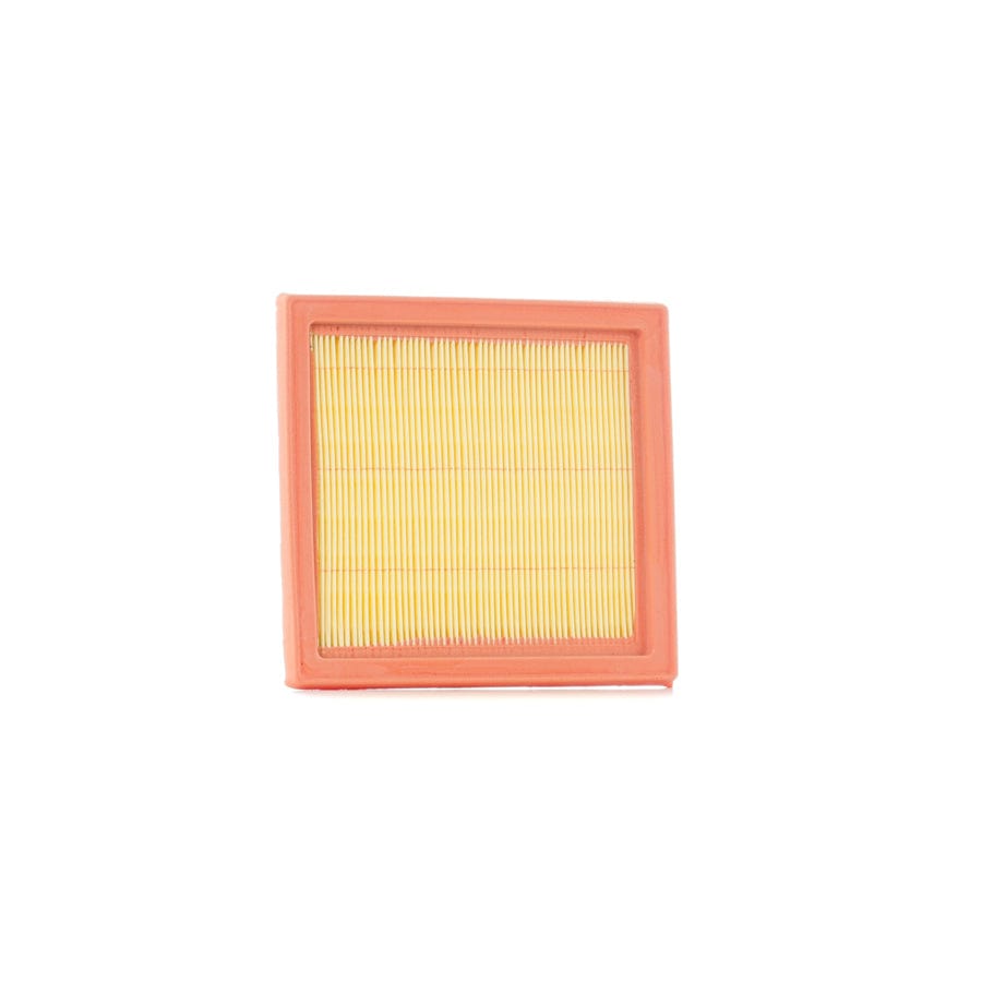 Ridex 8A0049 Air Filter