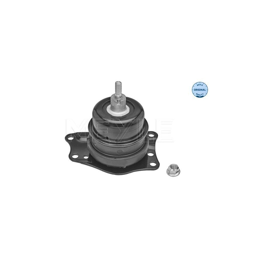 Meyle 100 199 0228 Engine Mount