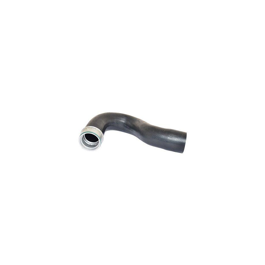 BUGIAD 81645 Charger Intake Hose Suitable for Mercedes-Benz Sprinter