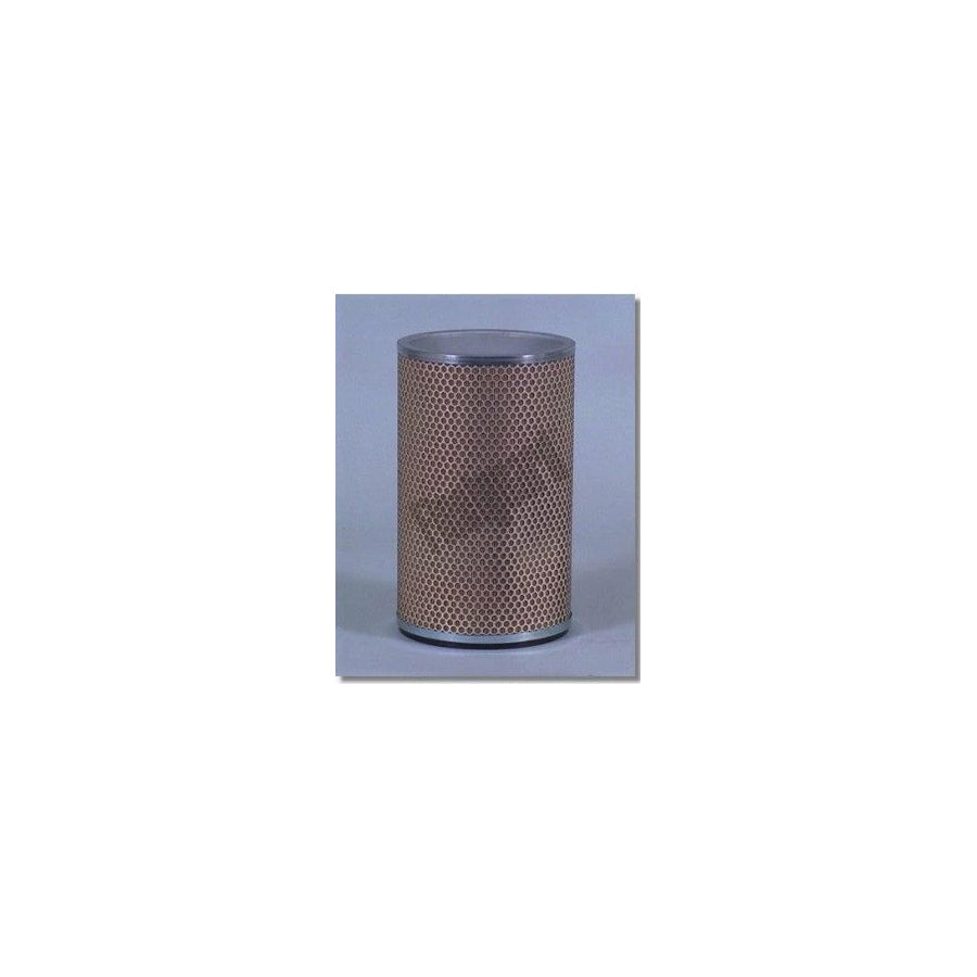 Fleetguard Af4746 Air Filter
