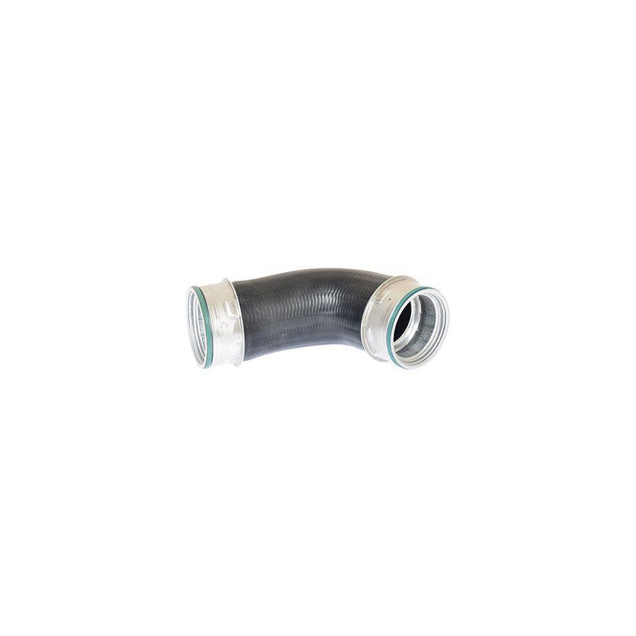 BUGIAD 81641 Charger Intake Hose Suitable for Mercedes-Benz E-Class