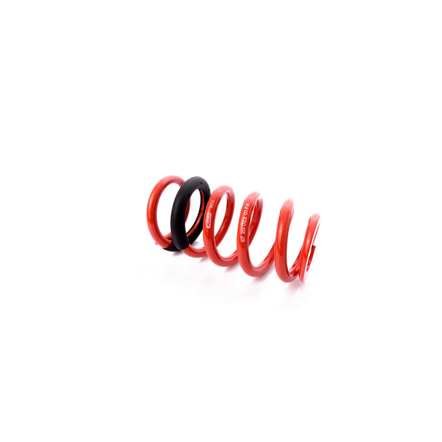 MTS Technik BMW Lexus Coil Spring - GWFE255VA Spare Parts
