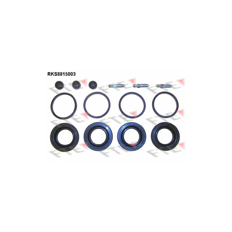 FTE Rks8815003 Repair Kit, Brake Caliper