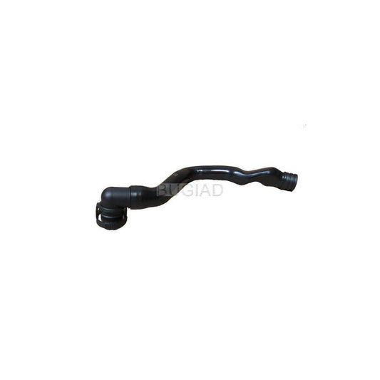 BUGIAD Bsp23328 Hose, Cylinder Head Cover Breather