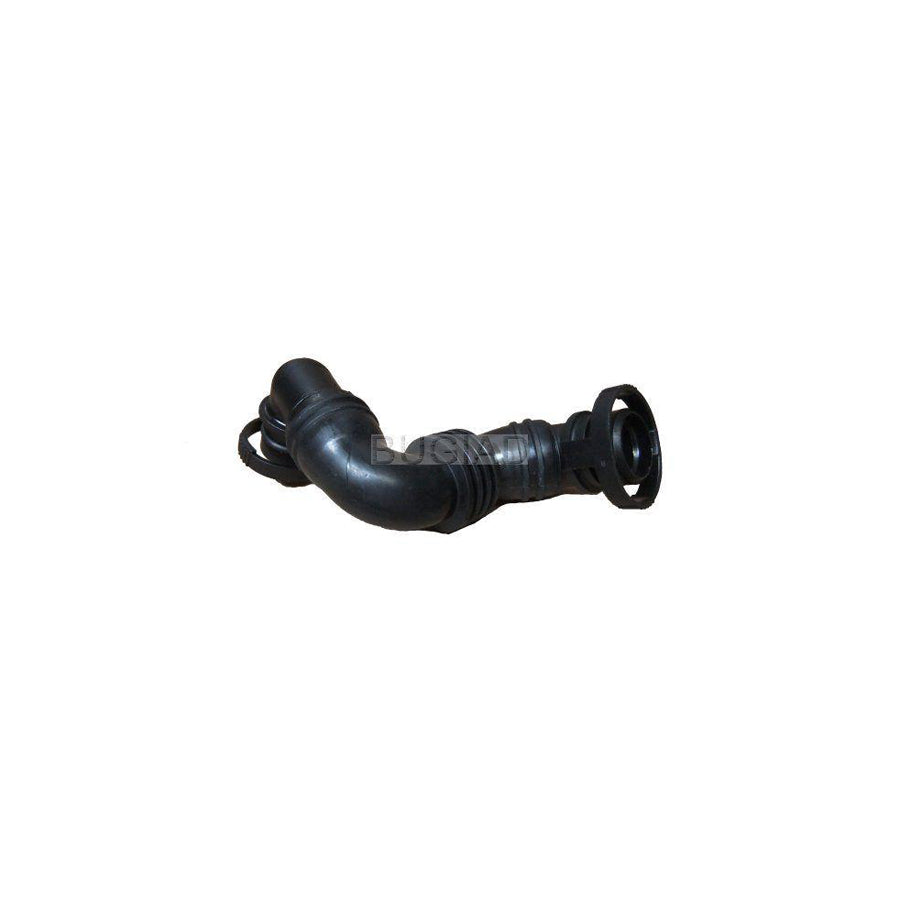 BUGIAD Bsp23327 Hose, Cylinder Head Cover Breather