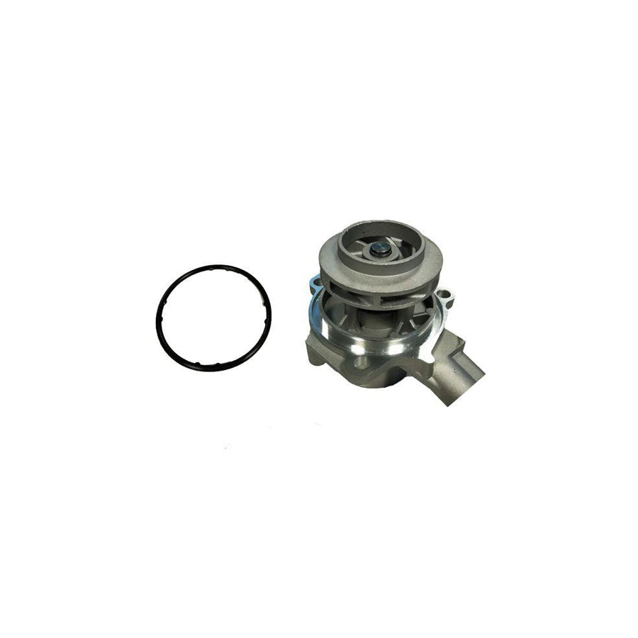 BUGIAD Bsp25231 Water Pump