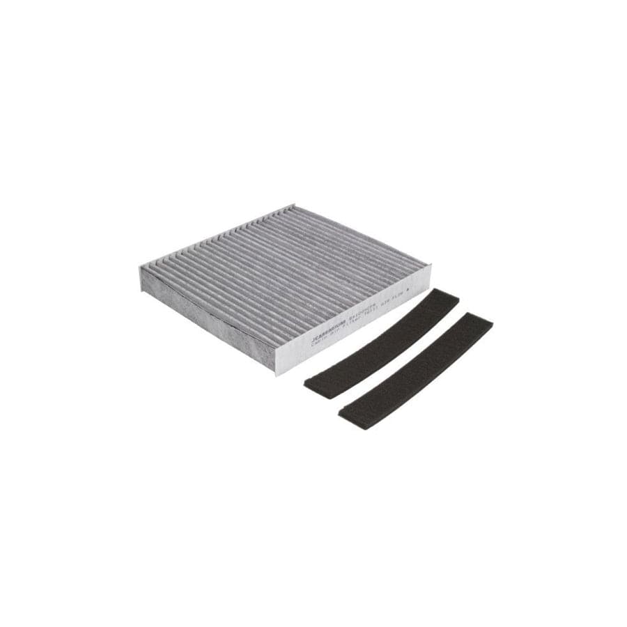 JC Premium B41009CPR Pollen Filter
