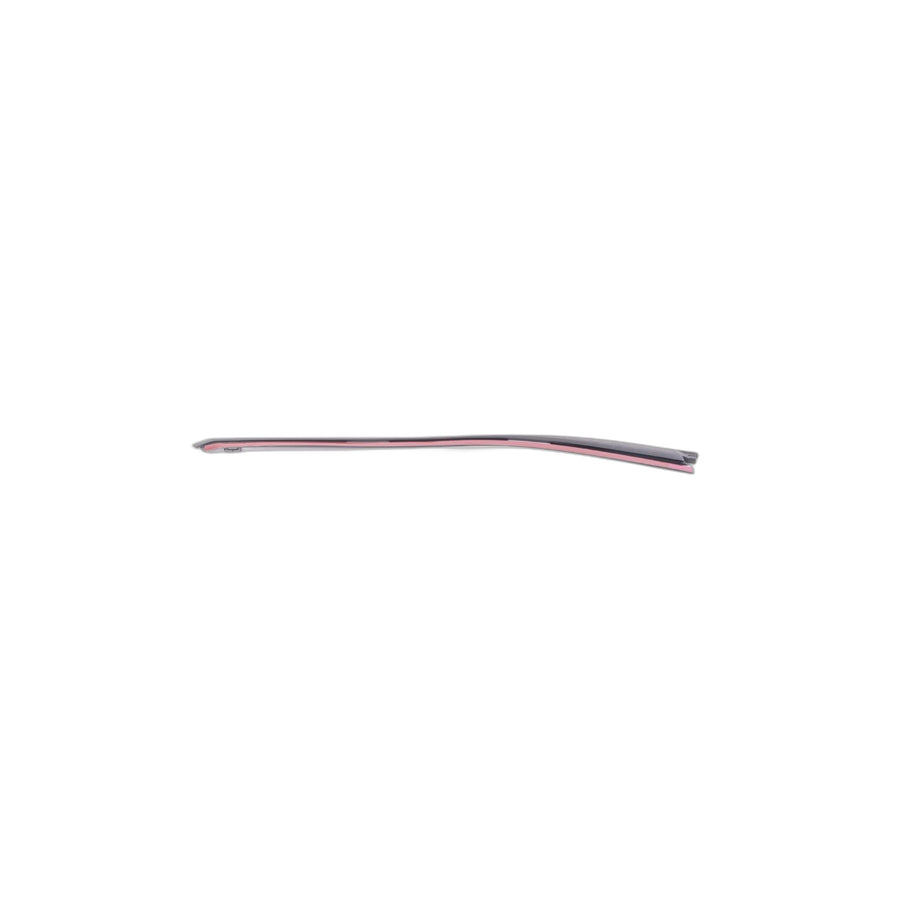 Genuine BMW 51447317491 Door Weatherstrip Rear Left (Inc. i3s 94Ah Rex, i3 120Ah Rex & i3 120Ah) | ML Performance US Car Parts
