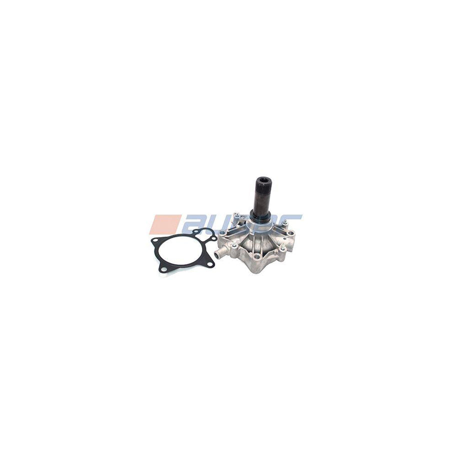 Auger 94682 Water Pump