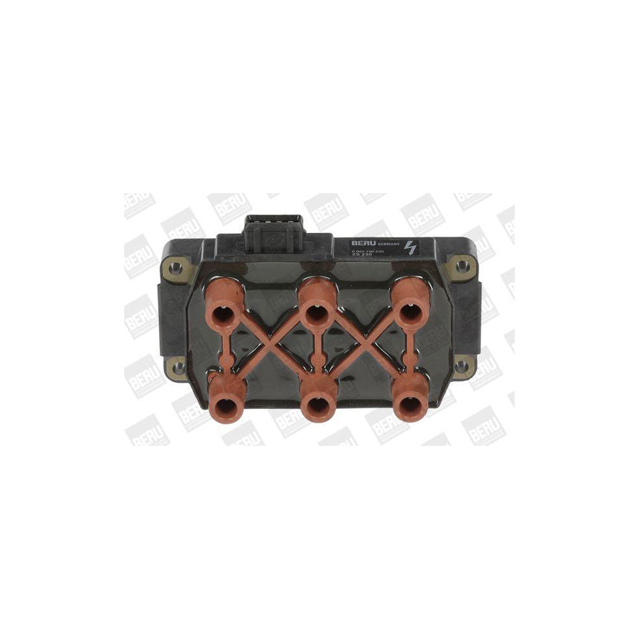 Beru Zs230 Ignition Coil