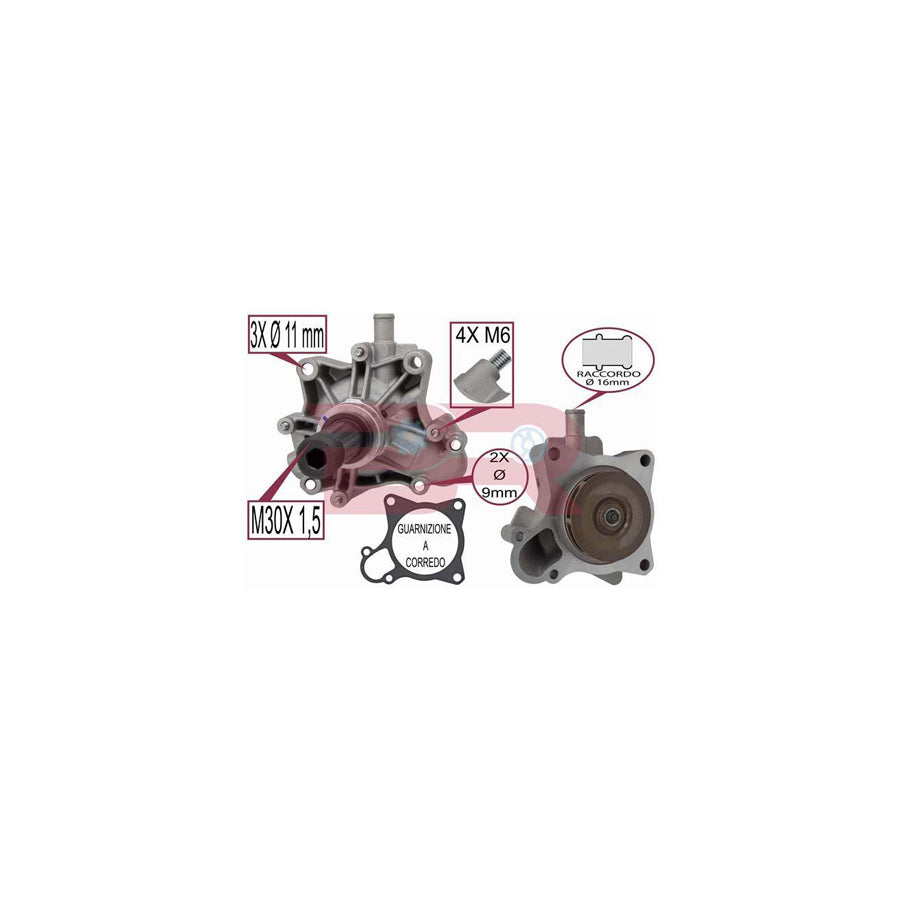 Botto Ricambi Brac1653 Water Pump for Iveco Daily