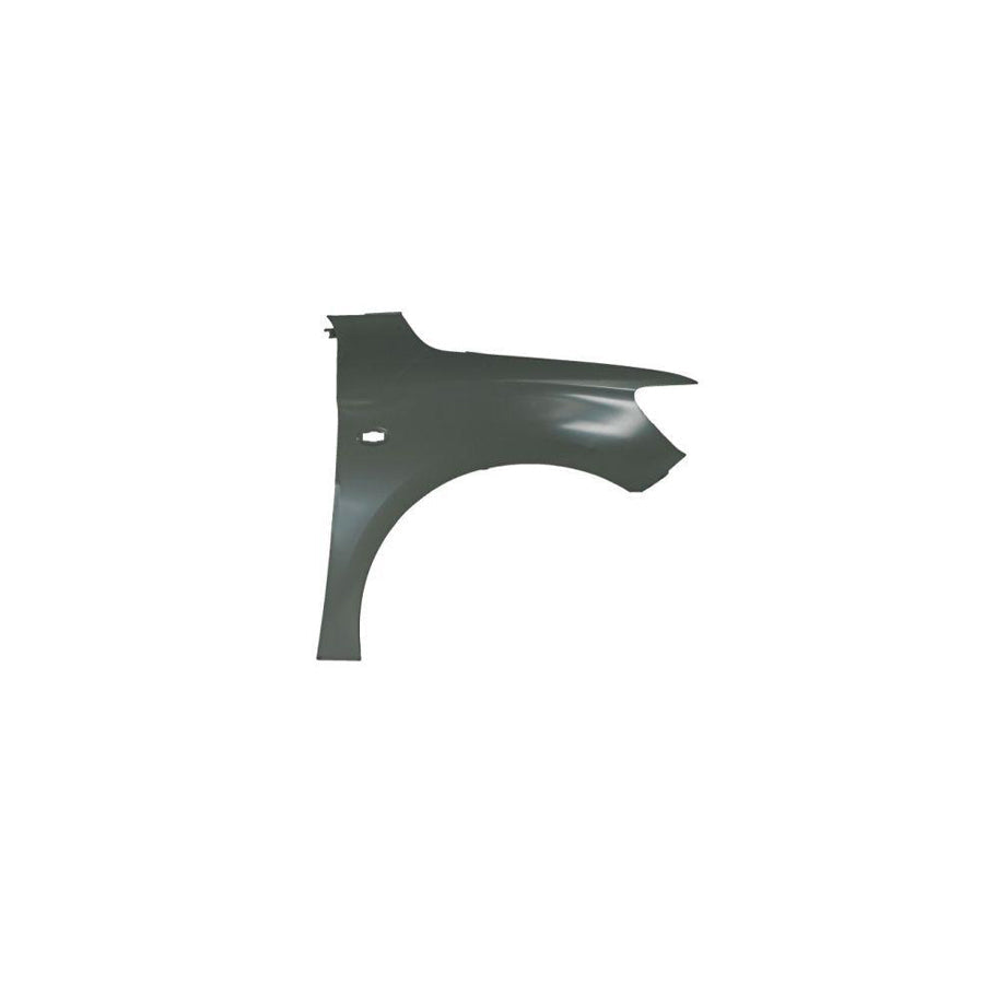 Blic 6504-04-0560312P Wing Fender For Citroen C-Elysée Saloon