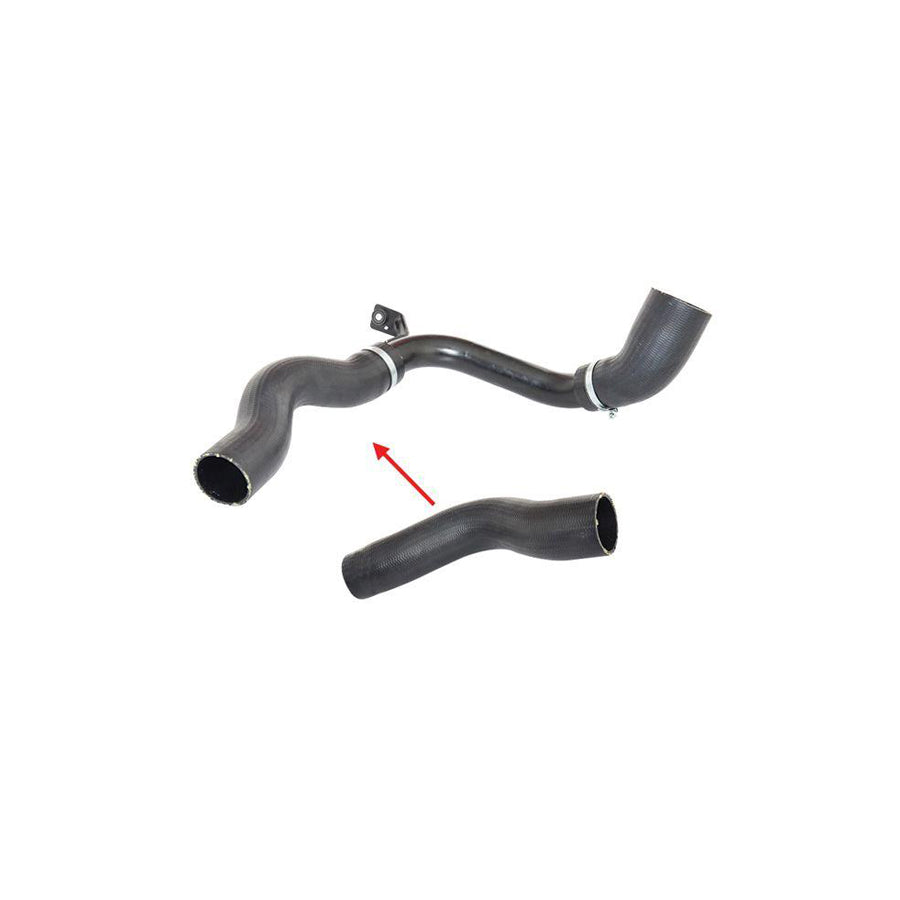 BUGIAD 88413 Charger Intake Hose for Ford Mondeo