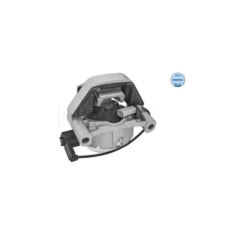 Meyle 100 199 0307 Engine Mount