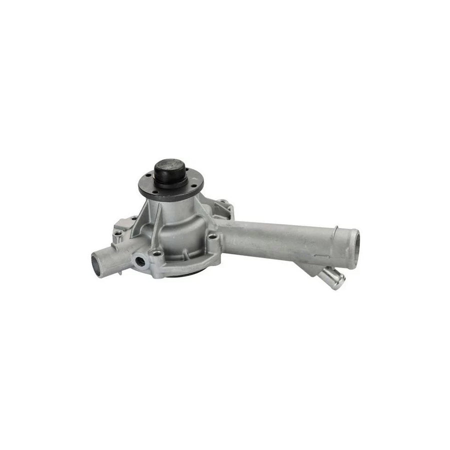 Denckermann A310079P Water Pump