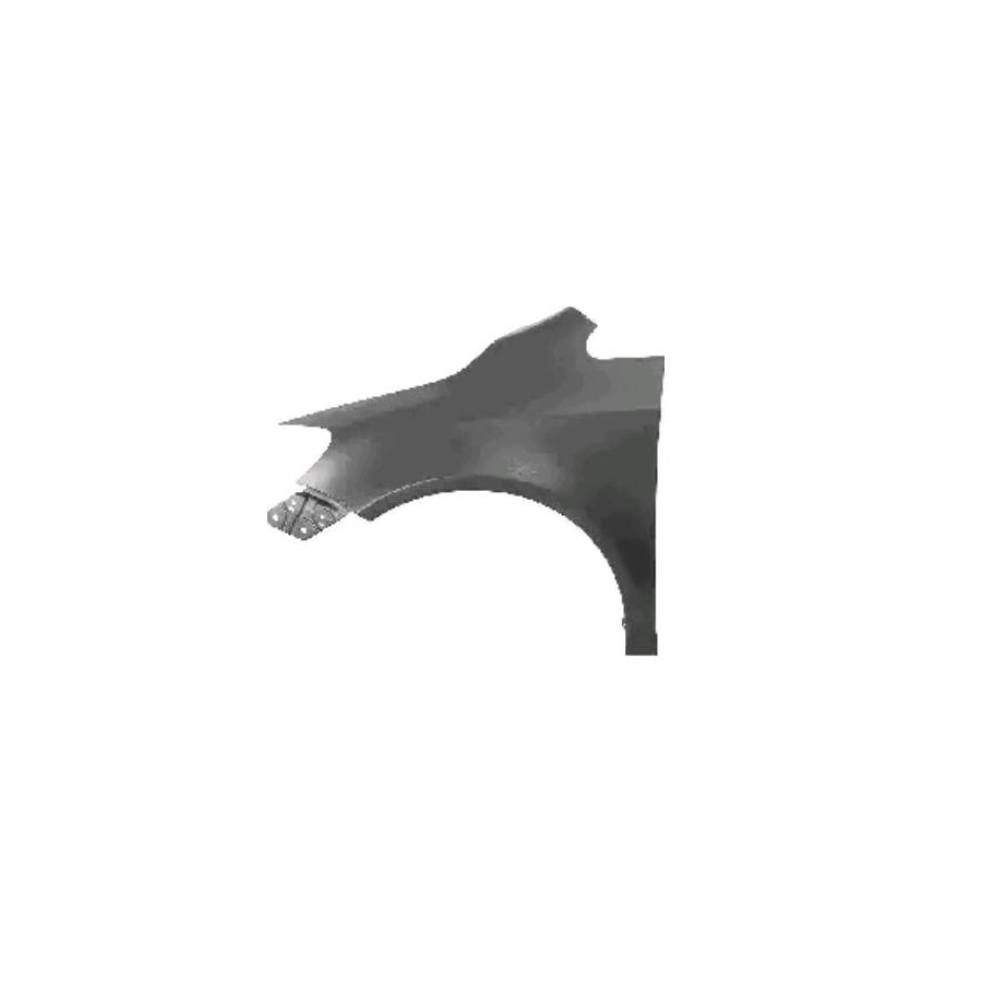 Blic 6504-04-9533311P Wing Fender For VW Golf Plus / Crossgolf (5M1, 521)