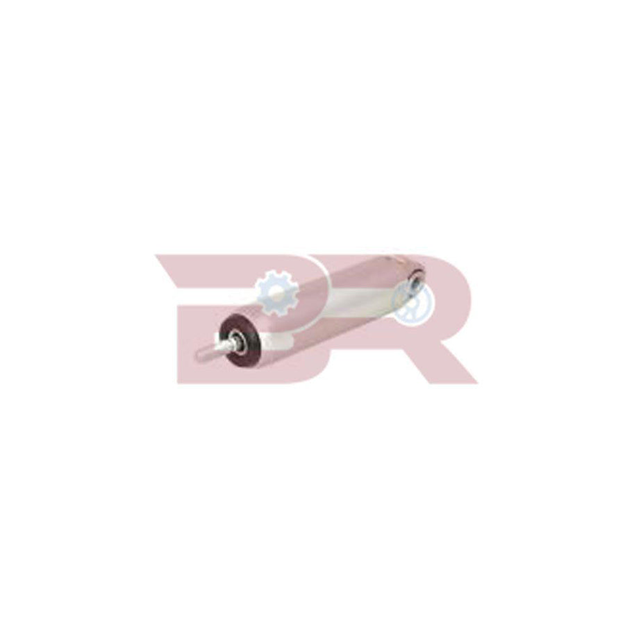 Botto Ricambi Brm2031 Slave Cylinder, Engine Brake