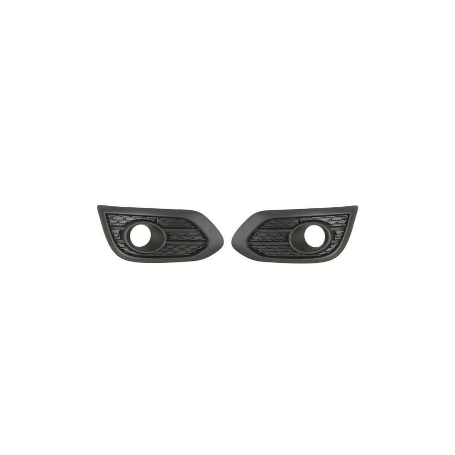 Blic 6601-02-0015873P Engine Cover