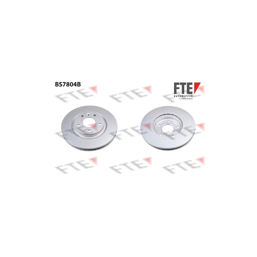 FTE 9081141 Brake Disc